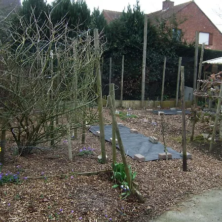 Bij Het Station Drongen