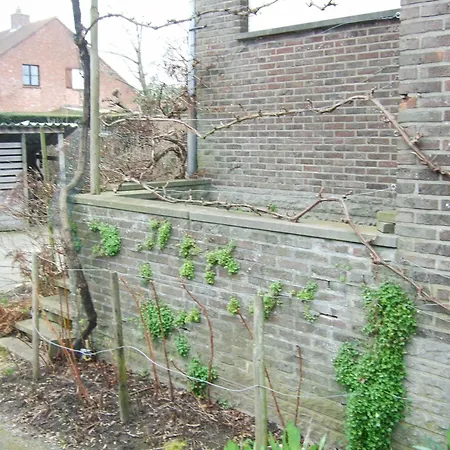 Bij Het Station Drongen