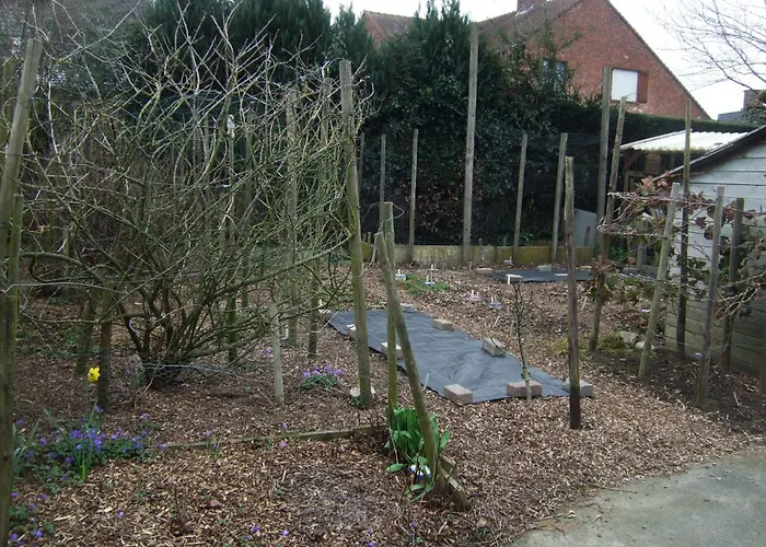 Bij Het Station Drongen